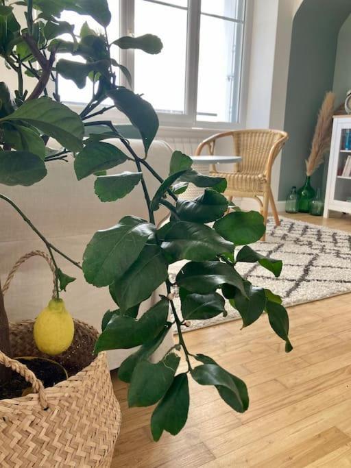 Le Citronnier Apartment Fouesnant Exterior photo